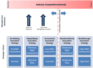 Innovation Strategy Risk Tolerance